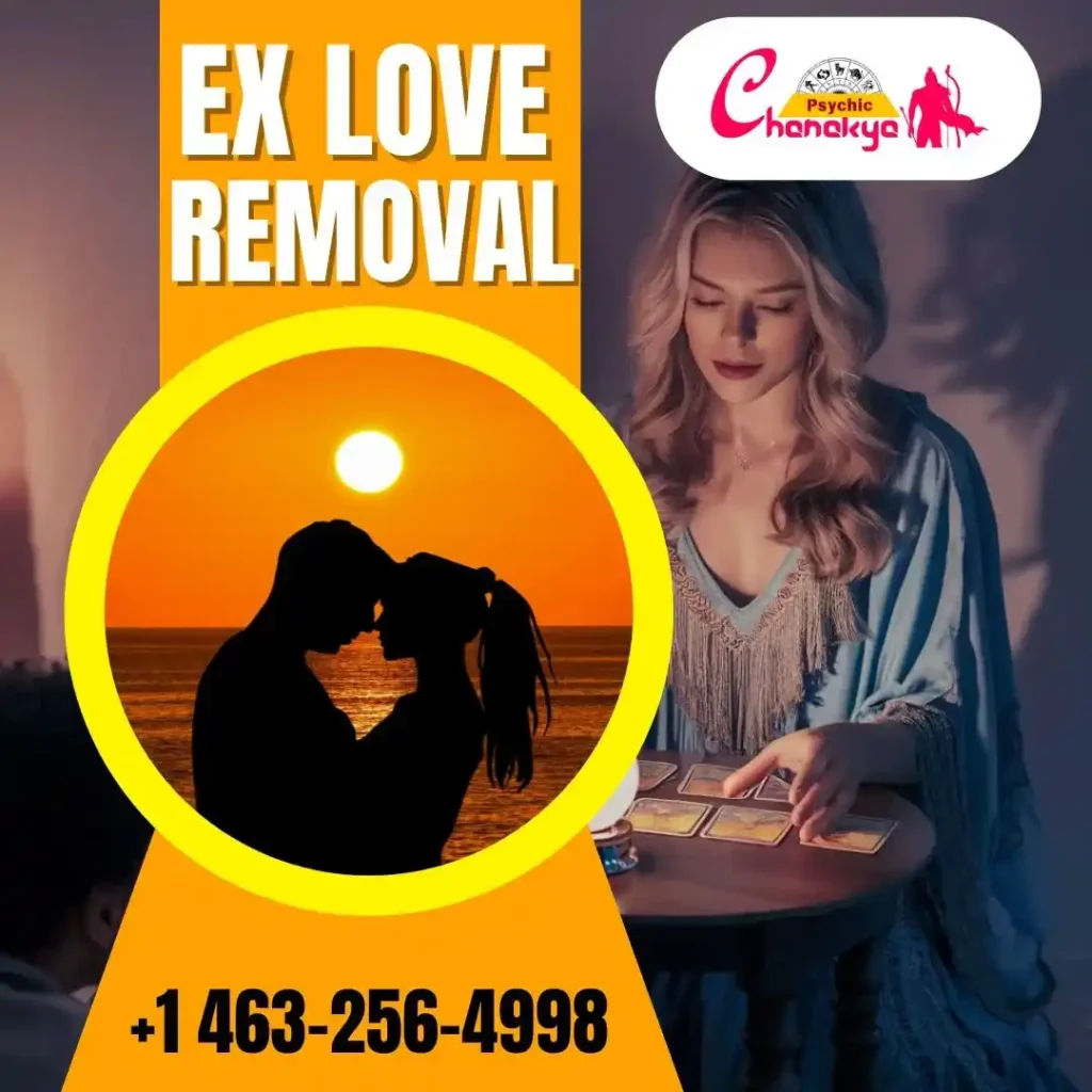 Certified Ex Love Back Astrologer in Indianapolis